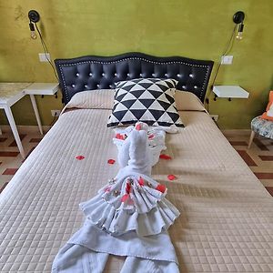Kamer met een King Size Bed